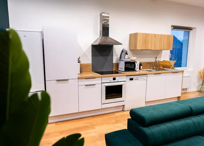 Grand Loft Familial 4 Avec Parking Prive 公寓 *